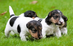 515437865_25162039003422312_8854290879709087608_n