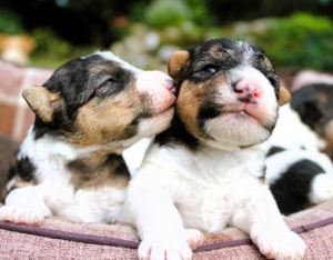 543371528_25108794945413385_3465833989569725399_n