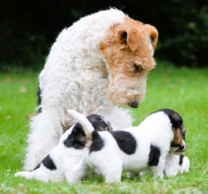 545149339_25162038776755668_1091046080681904528_n