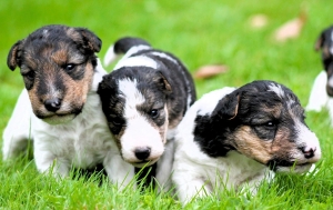 545155743_25162038913422321_5291121332129547135_n