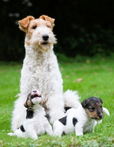 545426468_25162039100088969_7553760085669847857_n