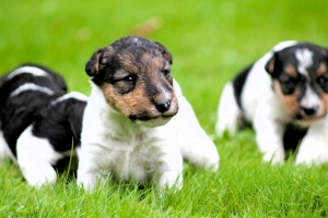 545845522_25162038536755692_4007450281965519028_n