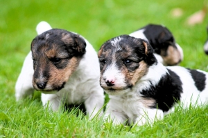 545961057_25162039216755624_5056984418710393929_n