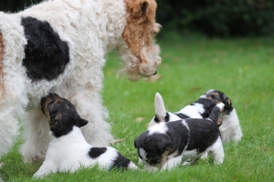 547232623_25162038766755669_8128279148952798853_n