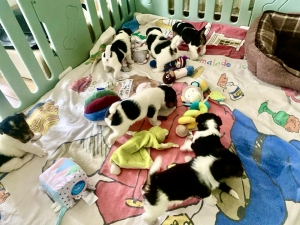 547963422_25224656903827188_6809622418515865851_n