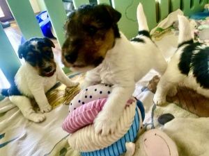 548494935_25224656873827191_8728421630393944048_n