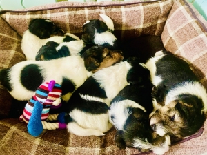 548903860_25224657163827162_4612328804242675646_n