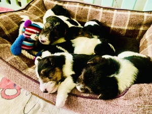 550775521_25224669940492551_3281822038069481149_n