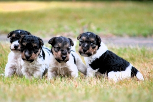 IMG_0171